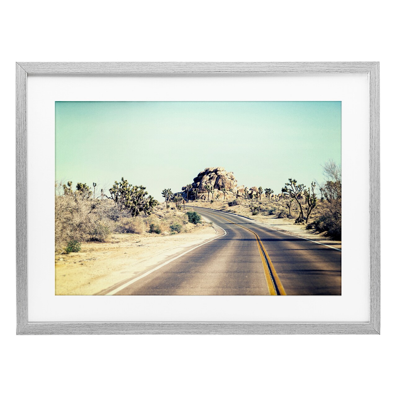Stupell Industries Road Trip Joshua Tree Park Framed Print Under Glass, design by Joseph S Giacalone